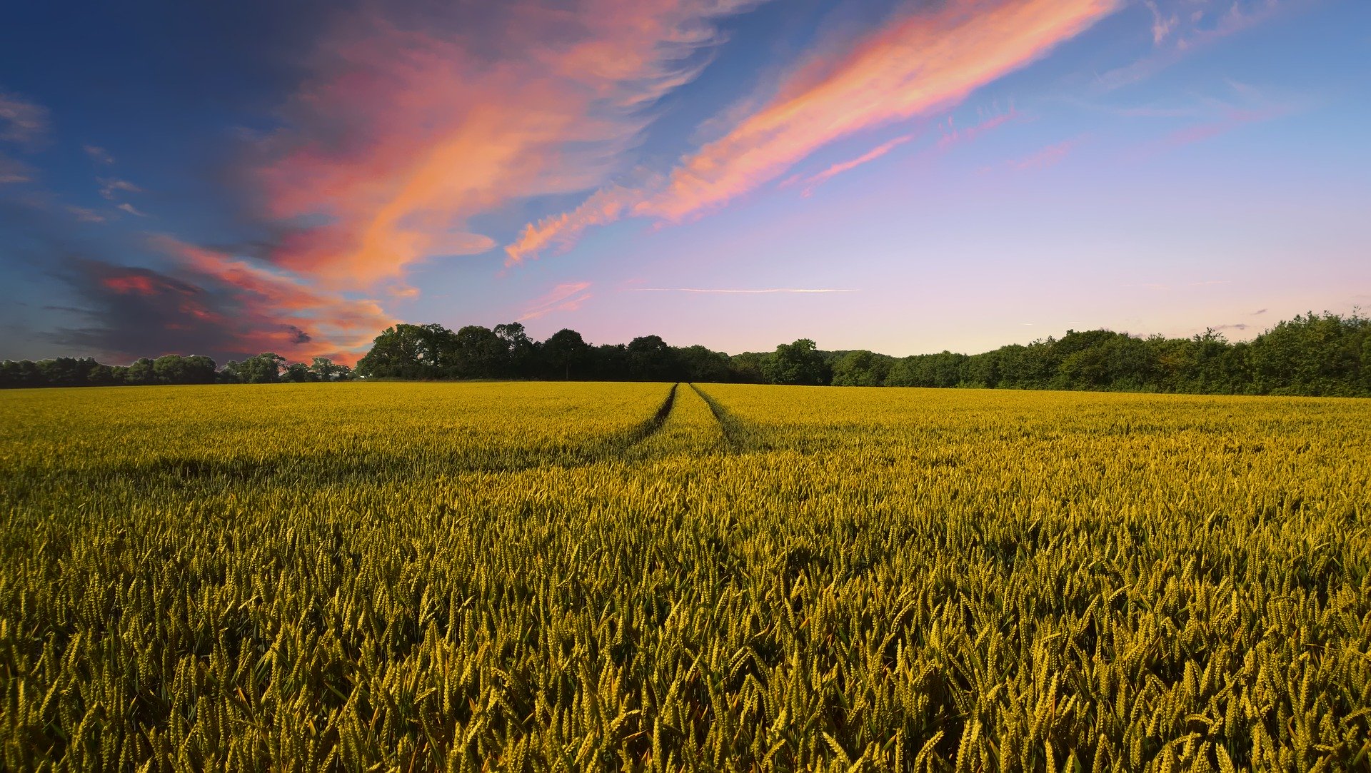 Humphreys County | Humphreys County